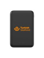 SANTO IŞIKLI POWERBANK - Görsel 3